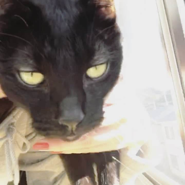 長嶋りあんのインスタグラム：「#今日も平和 #これから銭湯」