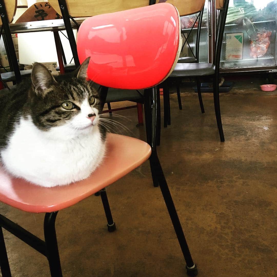 ティーナ・カリーナのグルメインスタ