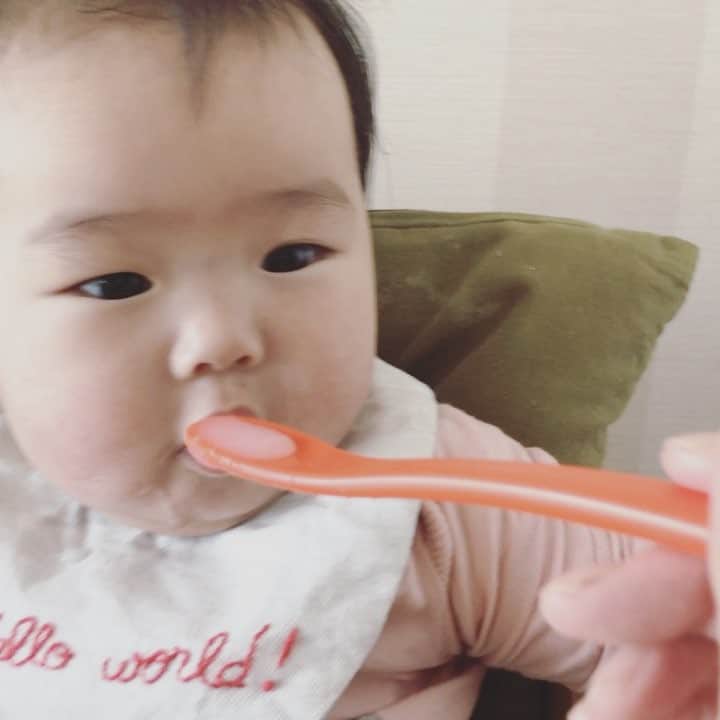 のインスタグラム：「知らん間に6ヶ月とかなってたので渋々始めた。食いつきよし。テーブルにこぼれたのまで舐めてた。うっとおしいくらいハルチンが「おいしい？！おいしい？！おいしい？！おいしい？！？！」てきいてるし、BGMは昨日から100回くらいき 再生させられてるきゃりーぱみゅぱみゅの「原宿いやほい」で最高騒がしい。動画が止まると「きゃりー！きゃりー！！！！いやほいもっかい！！！！！！！」と言います。 . もうじわじわズリバイしているし、泣いて私を呼ぶし、育児本番始まったな、という感じ。 新生児期はアイドリング、寝返りするまでは助走、動き出したら育児本番開始、と思っています。首座ったら楽になるから～100日こえたら楽になるから～～て嘘じゃないですかね。」