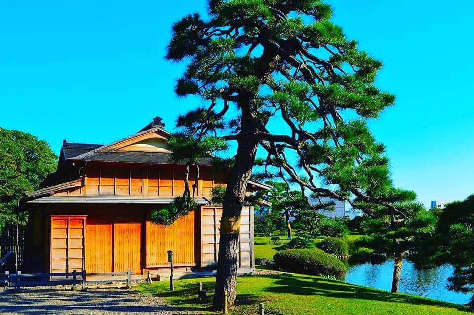 Teiener Japanのインスタグラム：「#teiener #庭園 #japanesegarden #japan #garden」