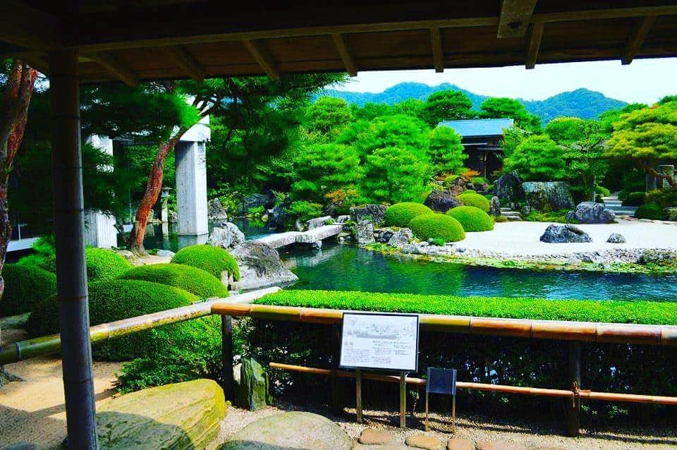 Teiener Japanさんのインスタグラム写真 - (Teiener JapanInstagram)「#teiener #garden #庭園 #japanesegarden #japan」1月24日 19時22分 - teiener