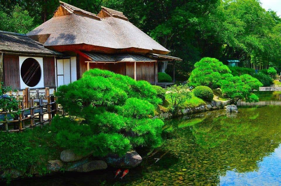 Teiener Japanのインスタグラム：「#teiener #garden #japanesegarden #Japan #庭園 #photo #okayama」