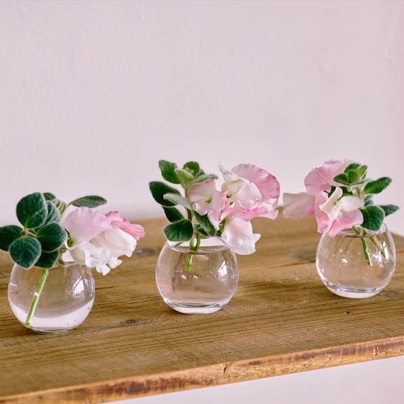 青山フラワーマーケットさんのインスタグラム写真 青山フラワーマーケット Instagram スイートピーは1本に3 4輪の花がつきます 一輪ずつ切り分けて 小さな花瓶にいけました 爽やかな香りのディクタムナスも同じく切り分けて 小さなジャムの空き瓶などを使っても