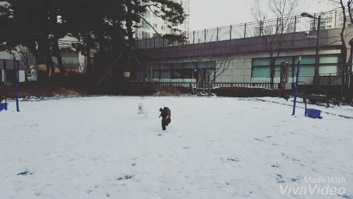 ユン・ヒョンミンのインスタグラム：「꼬봉이 눈 처음 밟다 🐾」