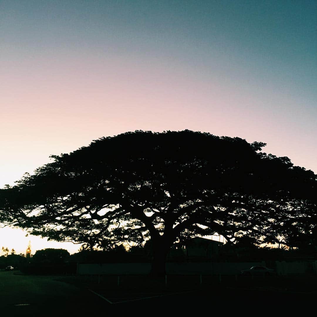 #RINKAgramHawaiiのインスタグラム：「思わず立ち止まってしまうハワイのサンセットタイム🙏 . #rinkagramhawaii #rinkagram #sumset」