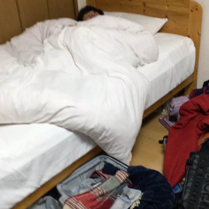 どば師匠のインスタグラム：「こいついびきかいて寝とる #この可愛さでいびきはギャップ#癒し#待ってちゃうとこから聞こえる#俺やった」