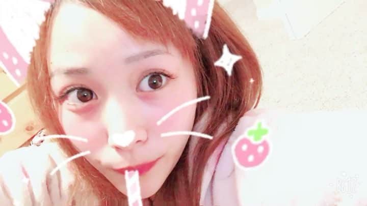 武田紗季のインスタグラム：「#heavysnowyday #🐈 #222」