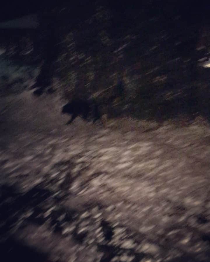akkoのインスタグラム