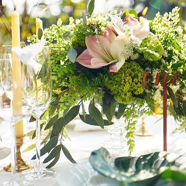 CANVASのグルメインスタ