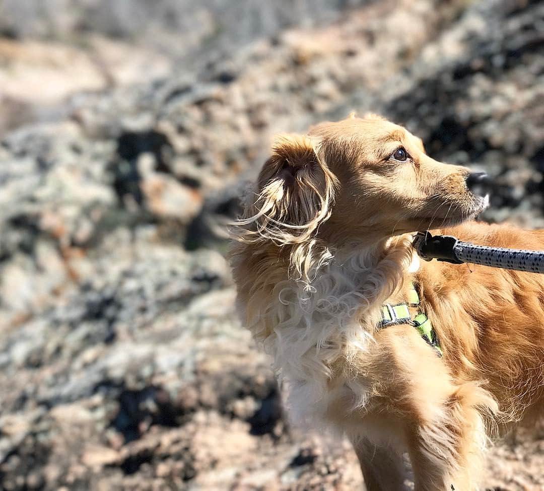 のインスタグラム：「Camping for my first time!」