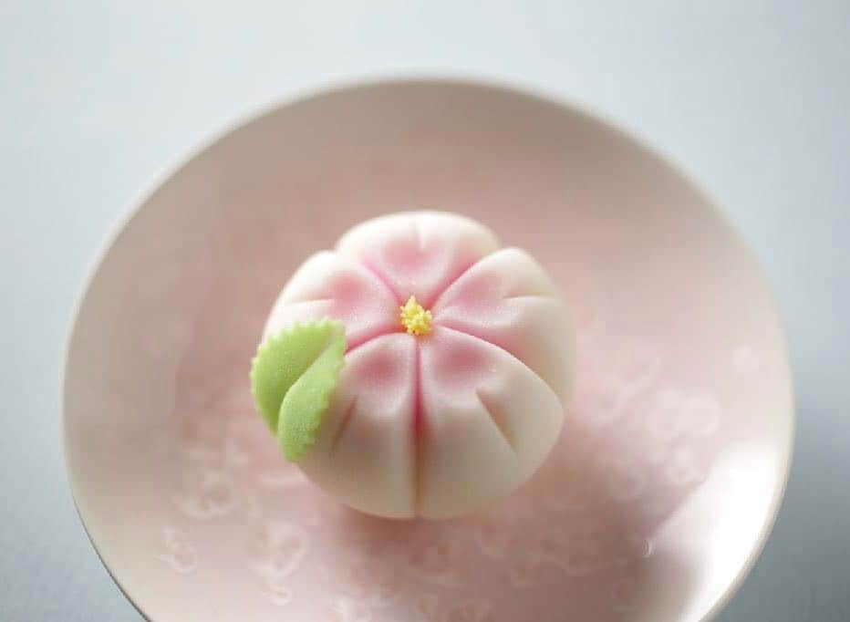 Toru Tsuchieのグルメインスタ