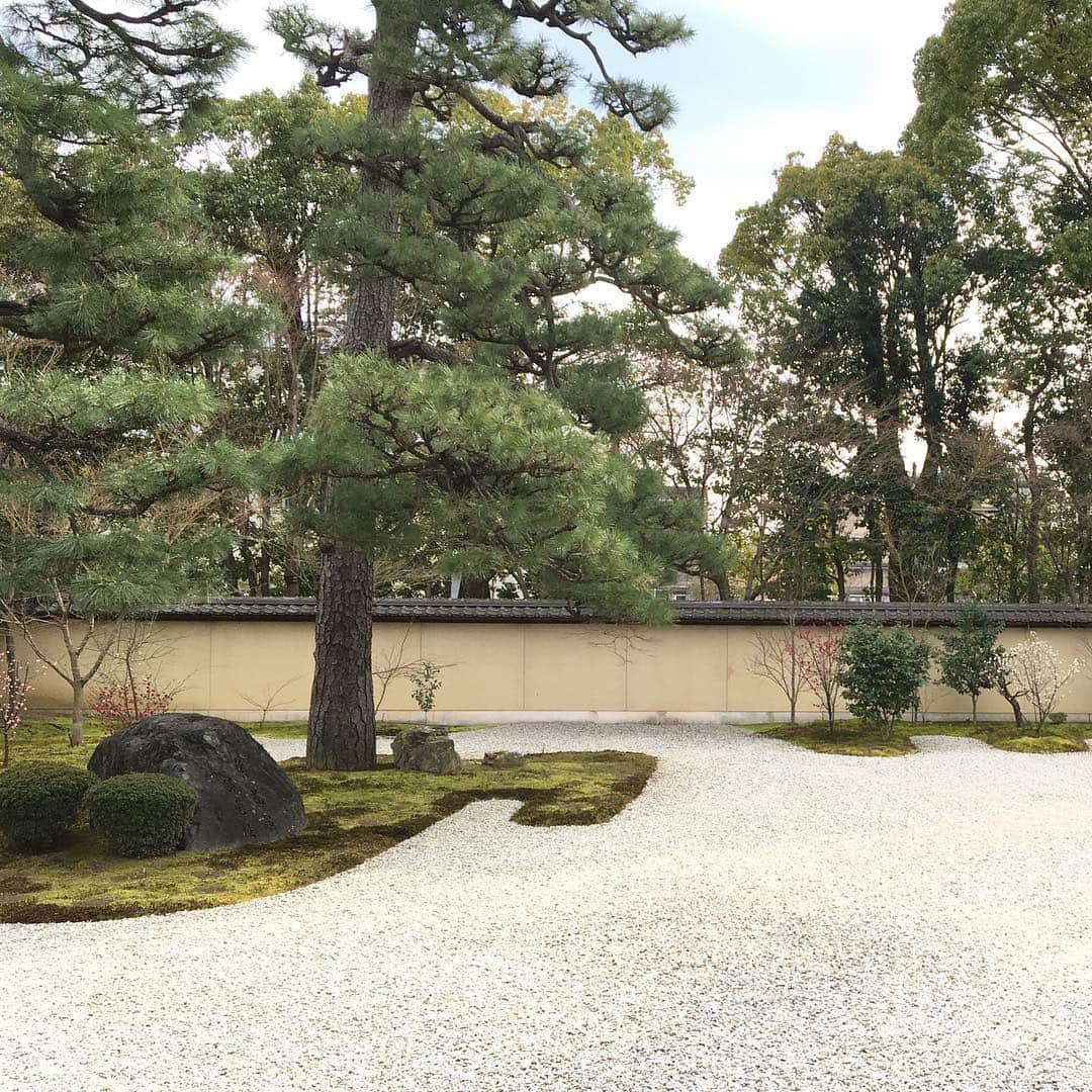 水原恵理さんのインスタグラム写真 - (水原恵理Instagram)「一泊二日で京都出張🚅 仕事の合間に祖父母のお墓まいりも出来ました。  #出張 #お墓まいり」2月26日 16時16分 - erimizuhara