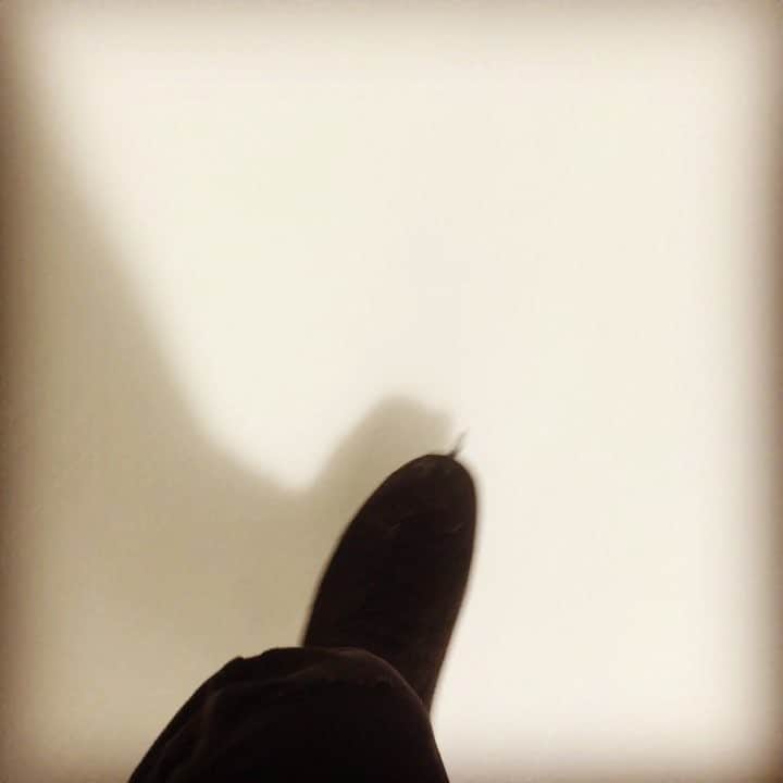 ダニエル・イートンのインスタグラム：「Back at it. #usfsa #teamusa」
