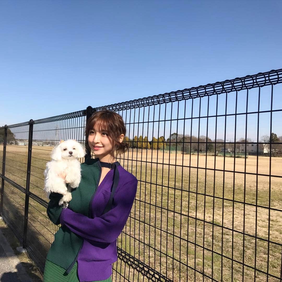 篠田麻里子さんのインスタグラム写真 - (篠田麻里子Instagram)「むっしゅと撮ってもらったら2人とも謎の表情でした🐶🕺#似た者同士#愛犬」2月3日 13時46分 - shinodamariko3
