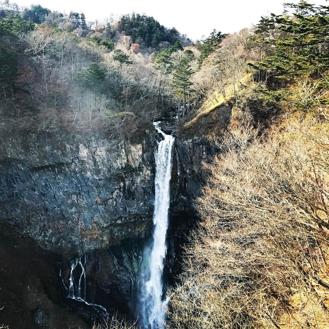 Japanese local photoのインスタグラム：「#神奈川#華厳の滝#冬#絶景#山#岩#滝#日本#japan#田舎#田舎暮らし#japagram#japantrip#japantravel#travel#ローカル#自然#ナチュラル#nature#写真好きな人と繋がりたい#写真撮ってる人と繋がりたい#日本の風景#日本の絶景#beautiful#スローライフ#green#instajapan#slowlife」
