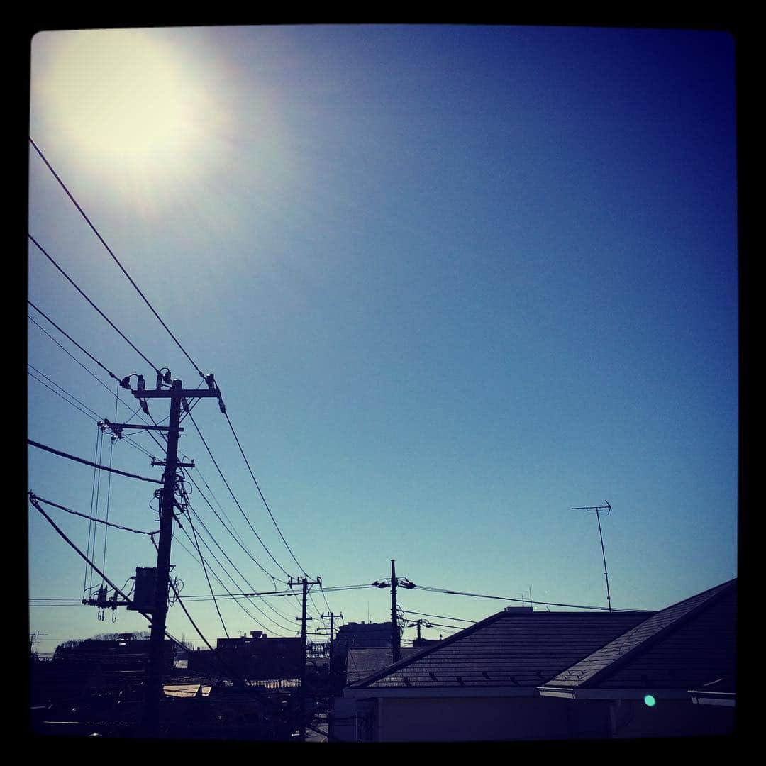 一色徳保さんのインスタグラム写真 - (一色徳保Instagram)「2月4日土曜日 晴れ 天気いいね。眠たい。」2月4日 11時56分 - noriyasuisshiki