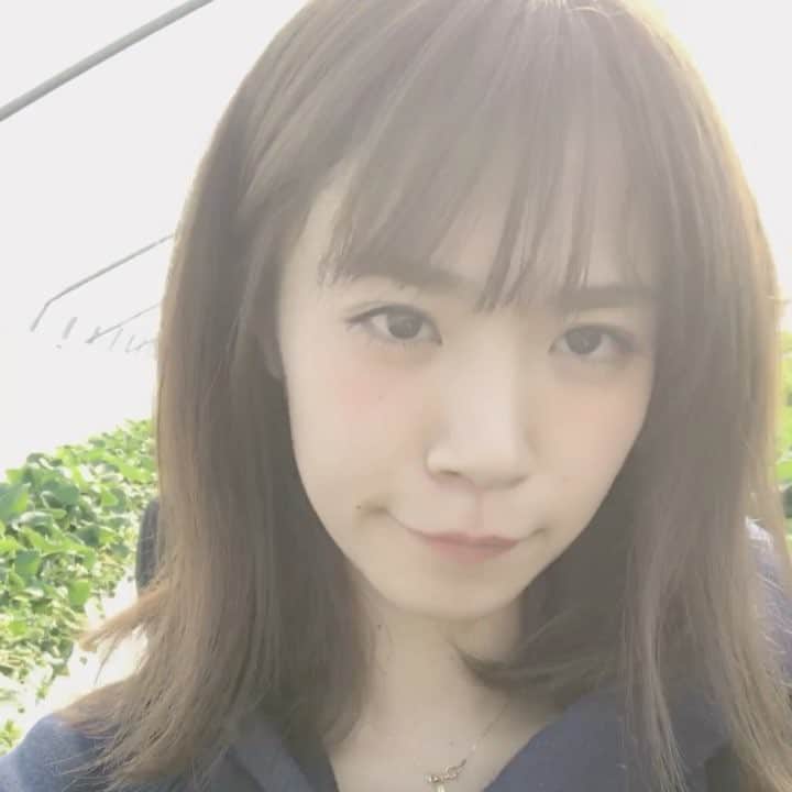 菜乃花のインスタグラム
