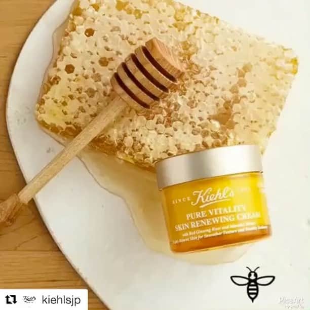 吉祥寺PARCOのインスタグラム：「【1階 キールズ】  #Repost @kiehlsjp with @repostapp ・・・ 【今日から！】「キールズ クリーム PV （マヌカクリーム）」2月10日 発売記念、「キールズ ヘルシーチャレンジ キャンペーン」開催！ 「キールズ クリーム PV （マヌカクリーム）」の代表成分のひとつである、マヌカハニー（写真の蜂蜜）とジンセン（高麗人参）にインスパイアされた “チームハニー”と“チームジンセン”を結成。2月17日までに、人気モデルと人気料理家がリーダーになって、それぞれの魅力がつまった“ヘルシーチャレンジ”を各自のSNSでご紹介します。 下記、いずれかの方の中から抽選で50名様にマヌカクリーム（6,500円相当）をプレゼント！  1. 二人のリーダーの「ヘルシーチャレンジ」に関するSNS投稿か、キールズ公式SNS の「ヘルシーチャレンジ」に関する投稿をハッシュタグをつけてリポスト、シェアしてくれた方  2. 自分なりのヘルシーチャレンジを実践して投稿紹介してくれた方 2017年2月20日 までの投稿が対象  チームハニー リーダーは、菅野結以 さん　 SNSでも大人気のカリスマが、仕事のモチベーションの秘密や大好きなコスメとの向き合い方を伝授します。 ＠yui_kanno（Instagram） Yuikanno（Twitter)  #キールズ #マヌカクリーム #チームハニー #ヘルシーチャレンジ #Changeforwellness　#Kiehlsjp 「キールズ ヘルシーチャレンジ」とは 未来の身体のことを考えて、運動をしたり食事に気をつける。より良いライフスタイルのために勉強をする ― いわば自己投資の有意義な活動がヘルシーチャレンジです。 うつむきがちな忙しい日々の中でも、“未来の自分”のためにちょっと目線をあげる、くらいがちょうどいい。まずは、彼女たちのやり方を真似てみれば、ヒントがみつかるかもしれません。 “未来の自分”にちょっといいこと ― ヘルシーチャレンジしませんか？」