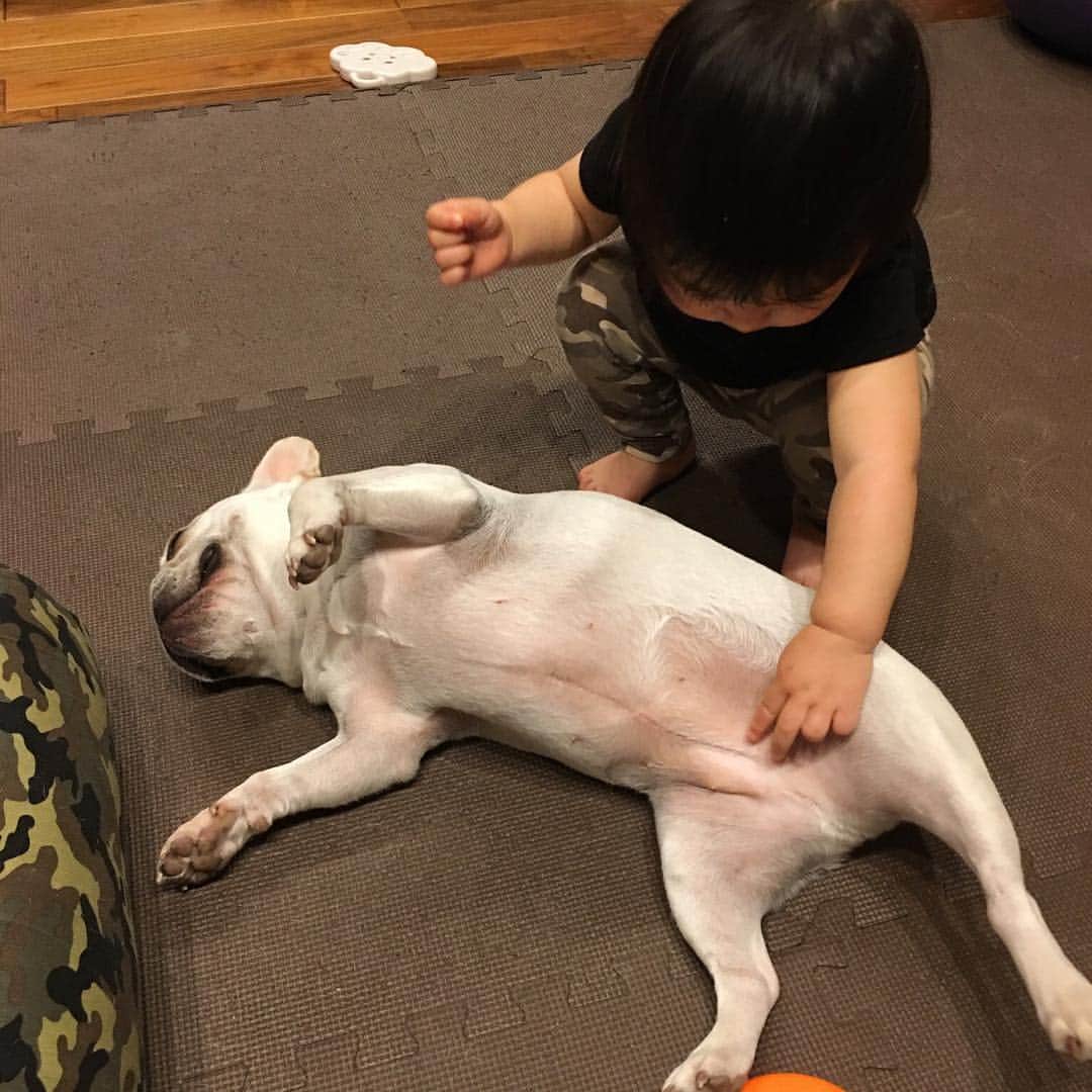 鈴木桂治のインスタグラム