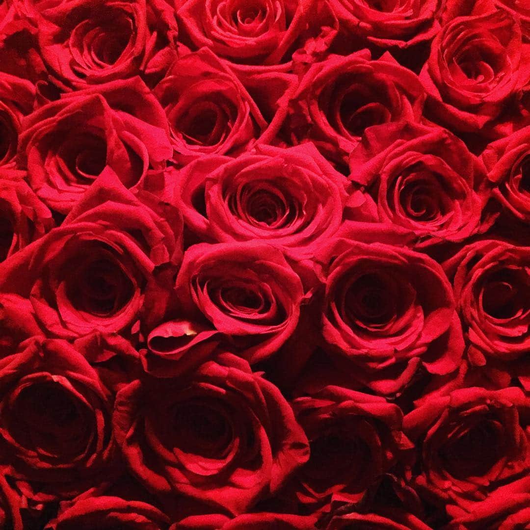 ババジャーンさんのインスタグラム写真 - (ババジャーンInstagram)「Getting on the mood for Valentine's Day!! ❤❤❤#loveaboveall」2月8日 20時45分 - babajaancollection