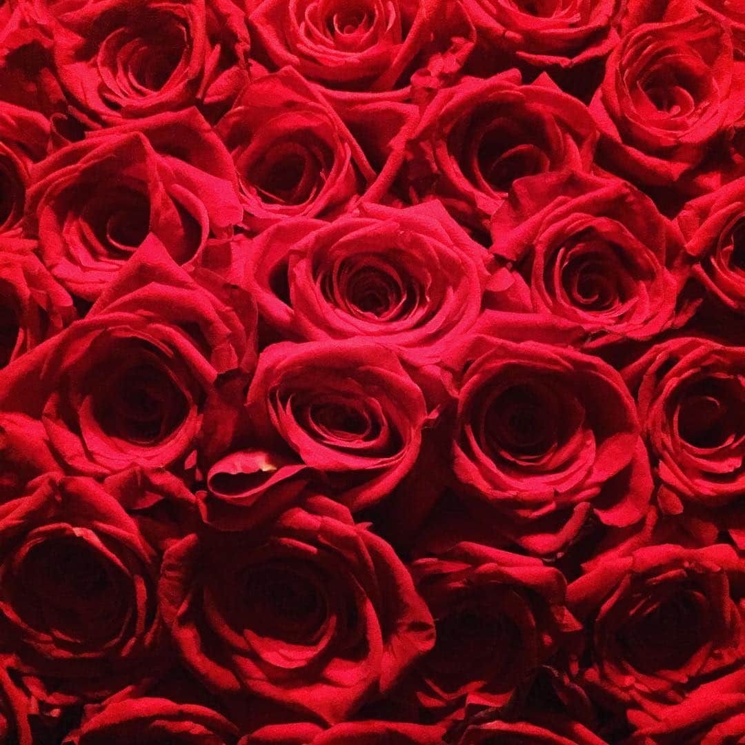 ババジャーンのインスタグラム