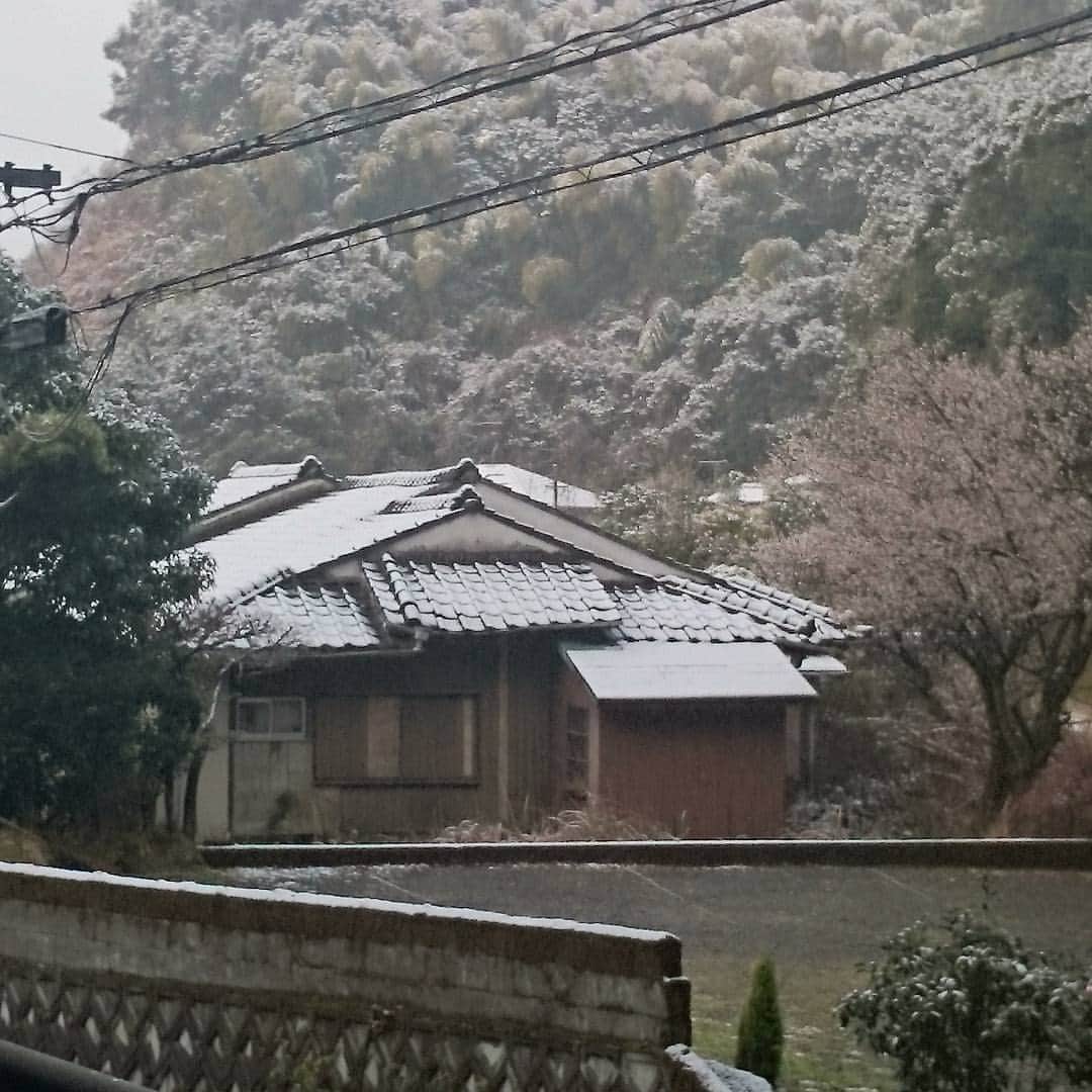 南日本新聞フェリアさんのインスタグラム写真 - (南日本新聞フェリアInstagram)「ここは､南国・鹿児島市内の中心部に程近い住宅街｡ ⛄ですよ。昨年１月25日よりはかなり少ないけど｡ #鹿児島市 #雪景色⛄ #鹿児島でも雪」2月10日 9時26分 - felia_insta