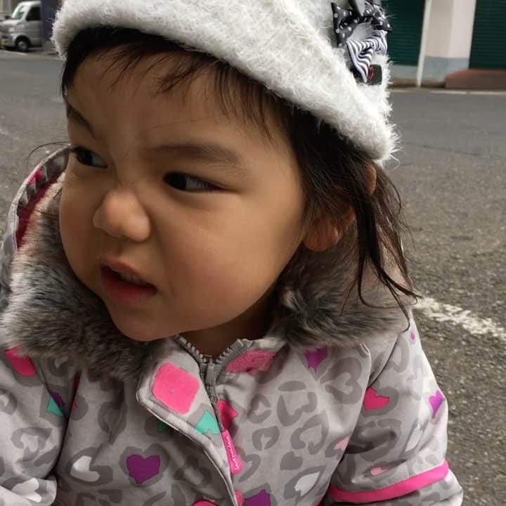 shin1ohnoのインスタグラム：「しんごさんに夢中。あんなに好きだった、ともきも過去の男に #3歳児」