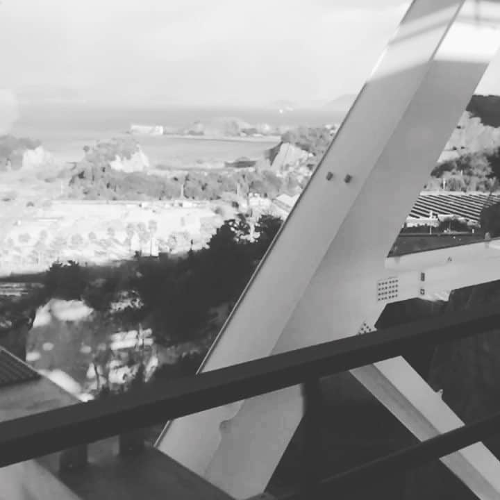 のインスタグラム：「影、走る。」