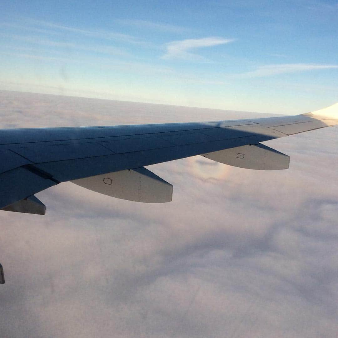 戸邉直人さんのインスタグラム写真 - (戸邉直人Instagram)「Brocken spectre.」2月12日 2時59分 - tobenaoto