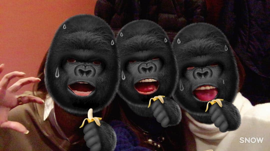 山崎みどりさんのインスタグラム写真 - (山崎みどりInstagram)「#snow #ゴリラ #もはや #誰が誰か #わかんない #ノーメイクでもいけるレベル  #gorilla #🦍」2月12日 3時52分 - midori_yamasaki_
