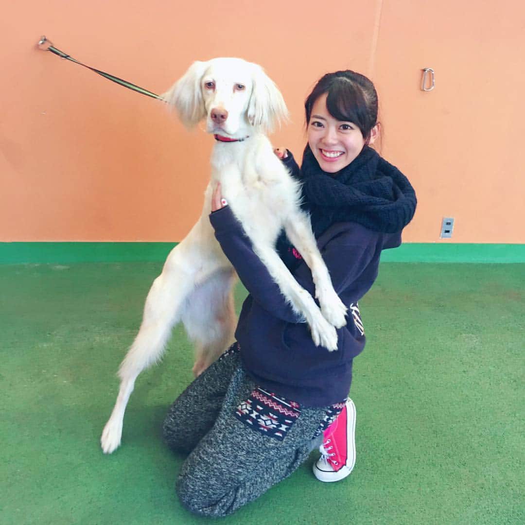 のインスタグラム：「かわいい〜〜🐶💗💗 #今日の練習の一コマ #dog #socute  #ilovedogs #unicyclepractice」
