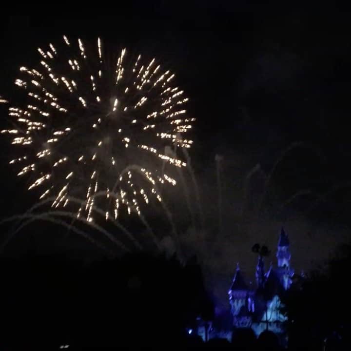 ジェシカ・アシュリーのインスタグラム：「Star Wars fireworks 🌟🌟🌟」
