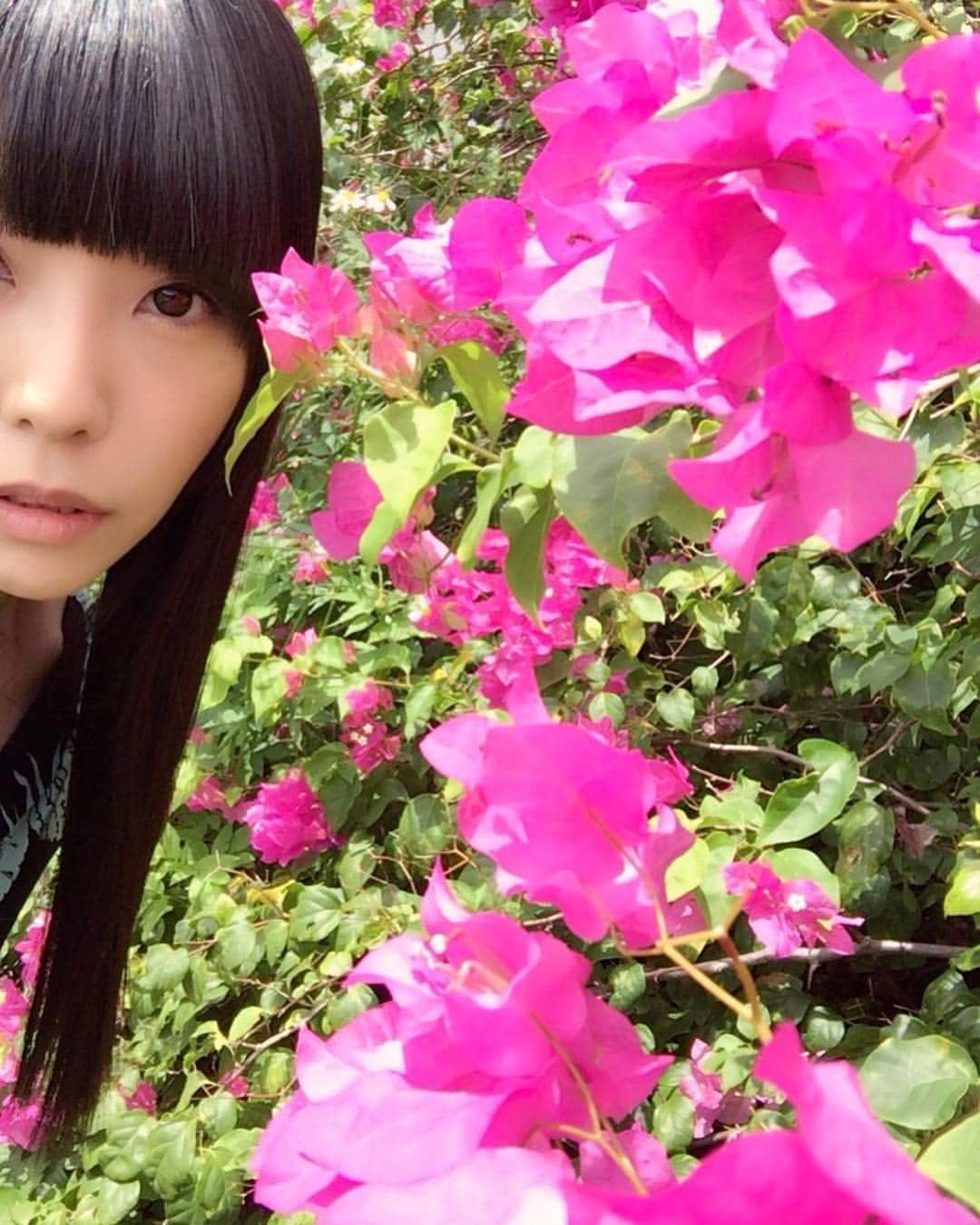 相沢梨紗のインスタグラム