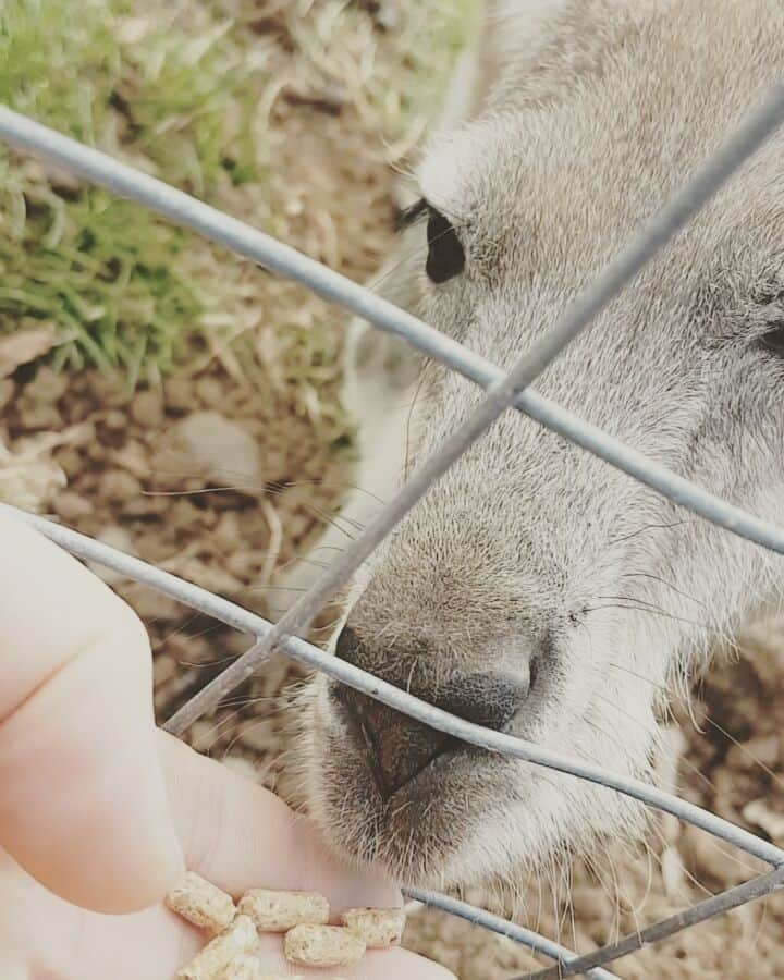 サンネ・ウェバースのインスタグラム