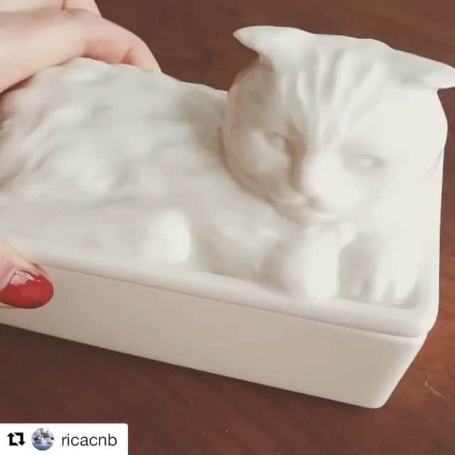 Cat's NapTimeのインスタグラム