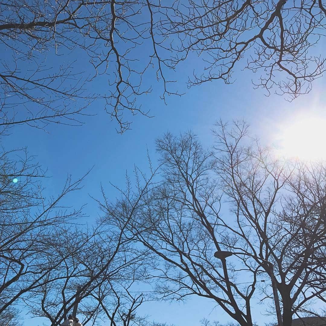 今田美桜さんのインスタグラム写真 - (今田美桜Instagram)「*** 2月もあとはんぶん。」2月13日 13時23分 - imada_mio