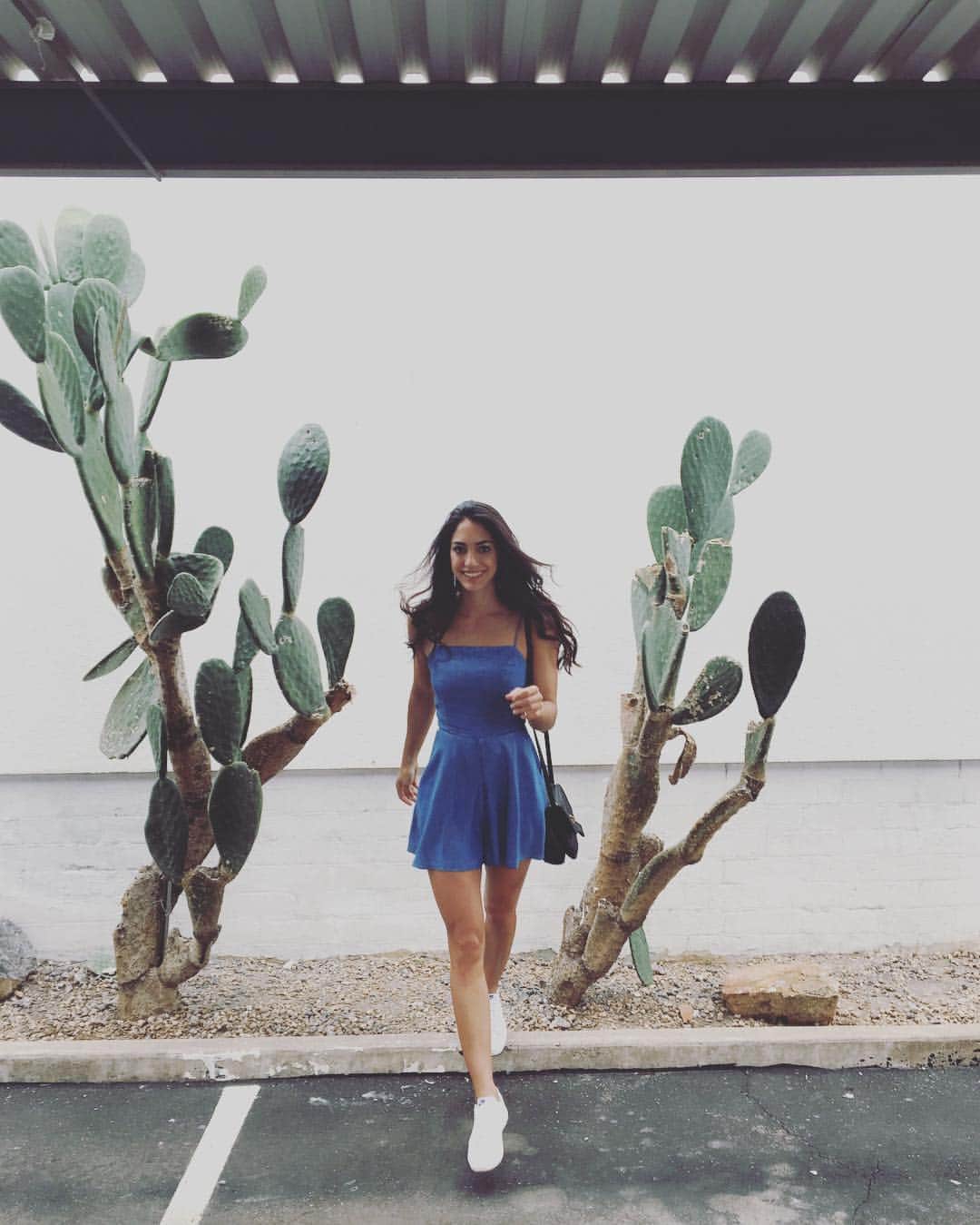 アリソン・ストーキーのインスタグラム：「🌵💁🏽🌵」
