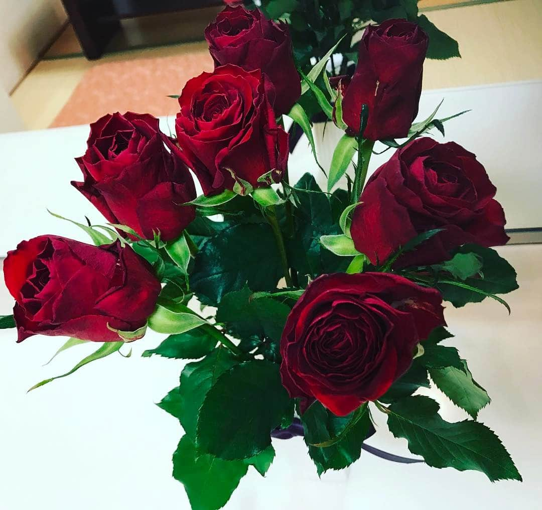 柴咲コウさんのインスタグラム写真 - (柴咲コウInstagram)「控え室に薔薇の花…惚れてまう〜♡♡ これを見るまで今日がバレンタインデーということをスッカリ失念していた私、、 #kostagram #薔薇 #薔薇が好き #スタッフの粋な計らい #嬉々 #柴咲コウ #正当なValentinesDay」2月14日 14時00分 - ko_shibasaki