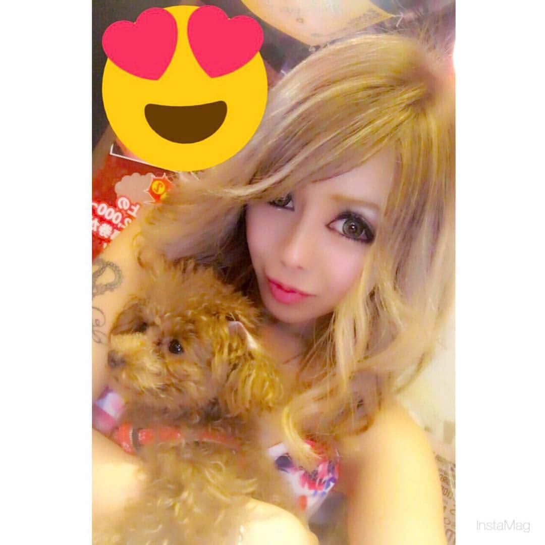 はるたむのインスタグラム：「犬ってなんて可愛いんだろう👼💖 でも自分家のわんちゃんが一番✨(笑） . . #gal #fasion #party #iwannabeadoll #barbie #love #birthday #mybirthday #birthdayparty #towermansion #dog #pretty」