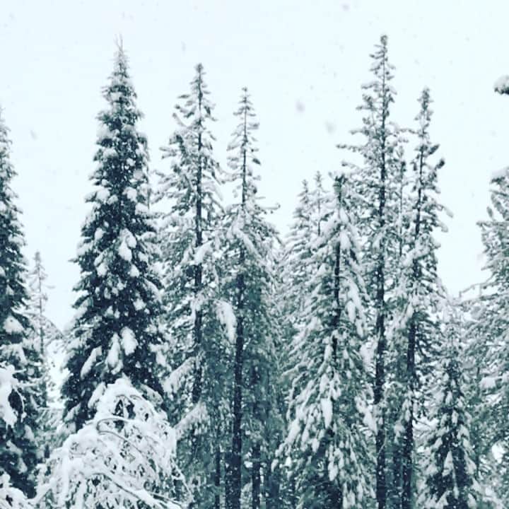 Daniel Waldronのインスタグラム：「Snowmotion」