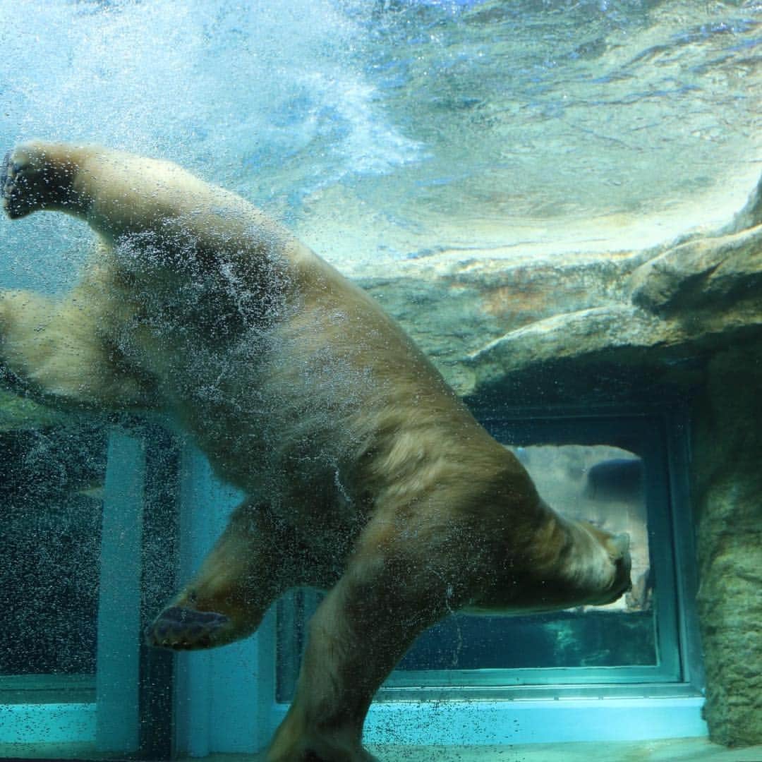 カーテン屋のシーズナルウインドのグルメインスタ