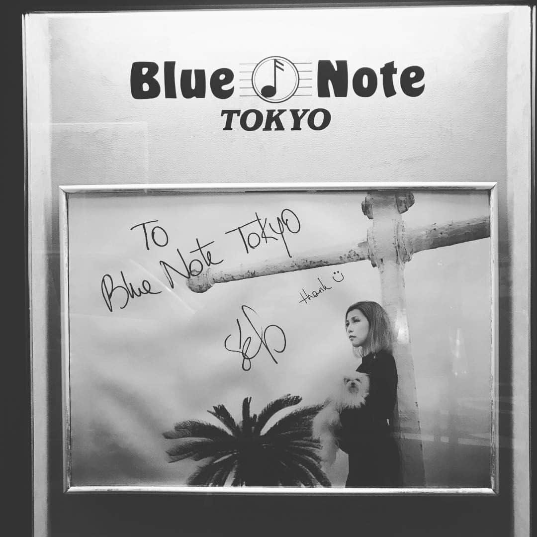 田中裕介のインスタグラム：「11PM. 素晴らしかった！ #sebuhiroko」
