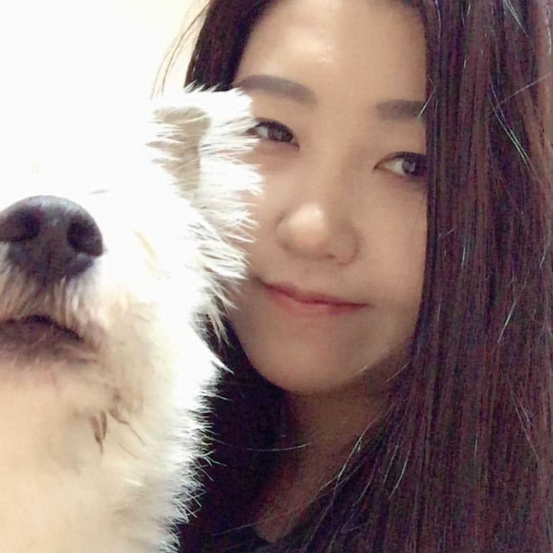 スンヒ のインスタグラム：「#멍뭉이 #멍스타그램 #봄이#곰이 곰돌이 닮은 우리 봄이❤️ 사실 셀카찍으려고 했는데 .. 봄이가 같이 찍자해서 같이 찍음ㅋㅋㅋ」