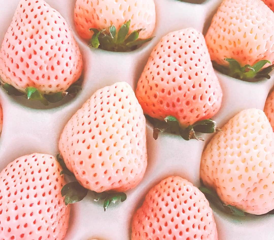 泉里香さんのインスタグラム写真 - (泉里香Instagram)「初めてたべた白イチゴ🍓 #strawberry」2月17日 14時21分 - rika_izumi_