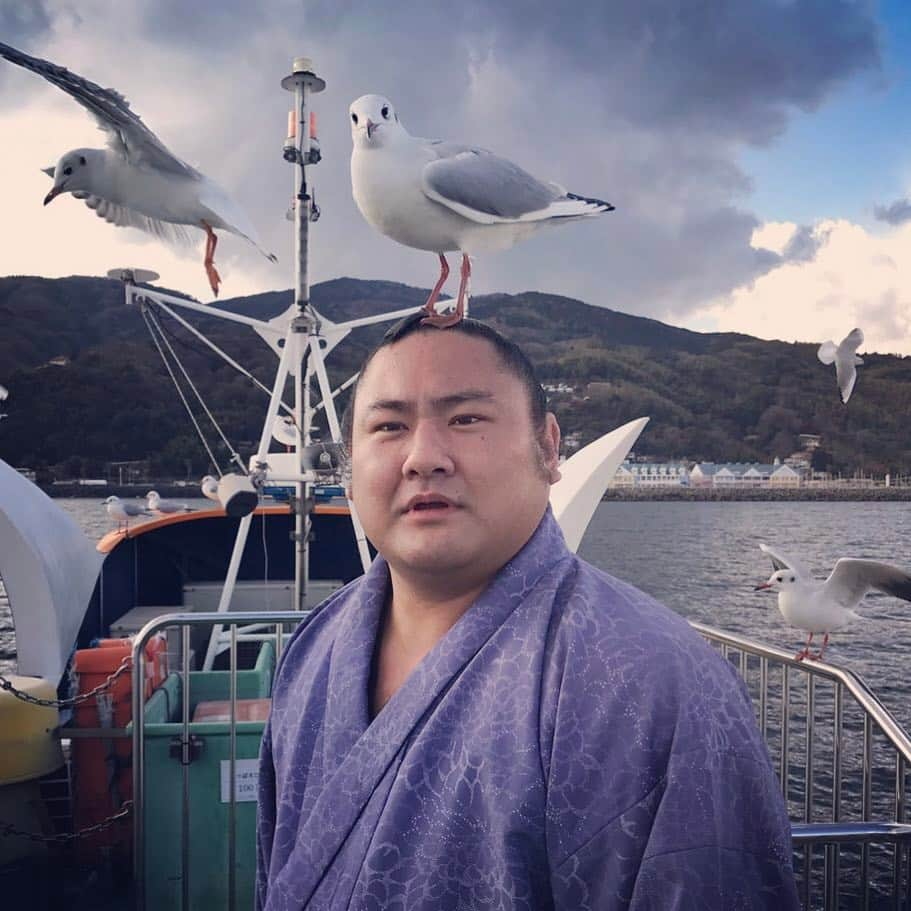 琴恵光充憲さんのインスタグラム写真 - (琴恵光充憲Instagram)「カモメ、船、追っかけて来て、疲れて、休憩。 #人懐っこくて可愛いかった #帯にうんこついてた」2月17日 17時15分 - kotoeko1120