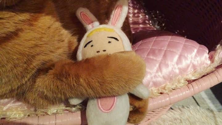 アマンダのインスタグラム