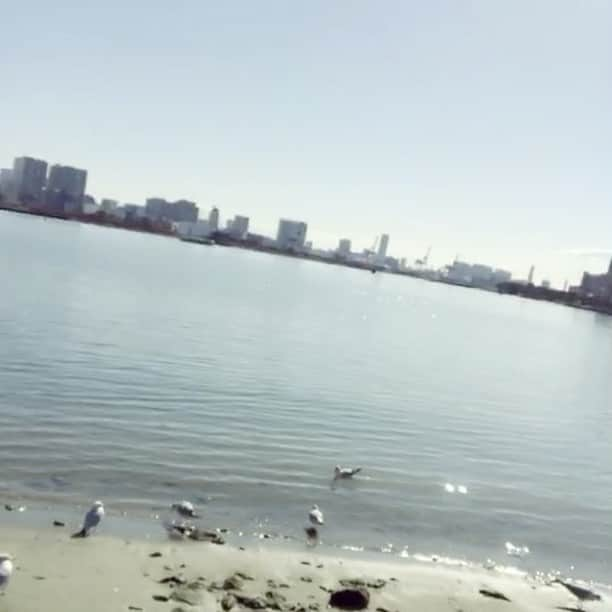 須田スミレのインスタグラム：「🦆* ◯ △ ◇ 撮影中 ゆりかもめ？が近い多い♪ データが楽しみ😆☀ 海〜🏖 ・ ・ ・」