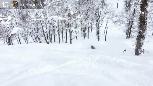 DJGEKIKARAのインスタグラム：「みんなでパウダーツリーラン🌲🏂 こないだルスツで女子力高いゆうちゃんが本当うらやましい…❤️ コケる時の声って大事🚺 私結構頑張って見たんだけどなw 声の練習しよっw笑  #snowboard #girlsday #snow #rusutsu #hokkaido #sun #niceday #powder #powdersnow #powderday #japan #jslv #girlssnowboarding #dj #homepaty #鍋  #タコパー #鍋パーティー #ジンギスカン #肉 #ほうじ茶」