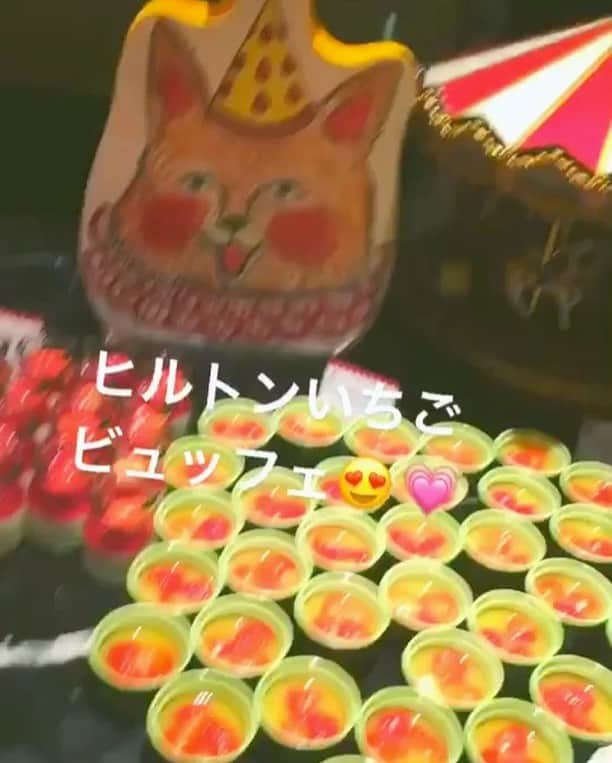 はるたむのインスタグラム：「ヒルトン東京 マーブルラウンジの ストロベリービュッフェ🍓  去年もお台場のヒルトンで行って 1ヵ月以上予約が取れない イチゴビュッフェ🍓  この日すっごく楽しみにしてたの😍💫 サーカスにちなんだ 装飾ですっごいかわいかった💖💖 #ヒルトン東京 #マーブルラウンジ #ストロベリービュッフェ #イチゴビュッフェ #サーカス #イチゴ #ディナー #新宿」