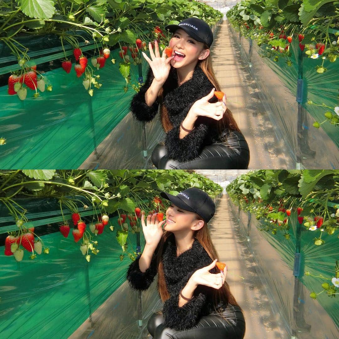 カレンのインスタグラム